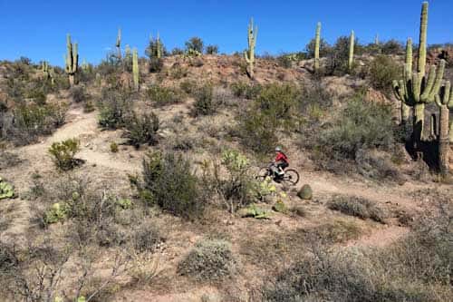 Arizona Trail Mountain Bike Ride
